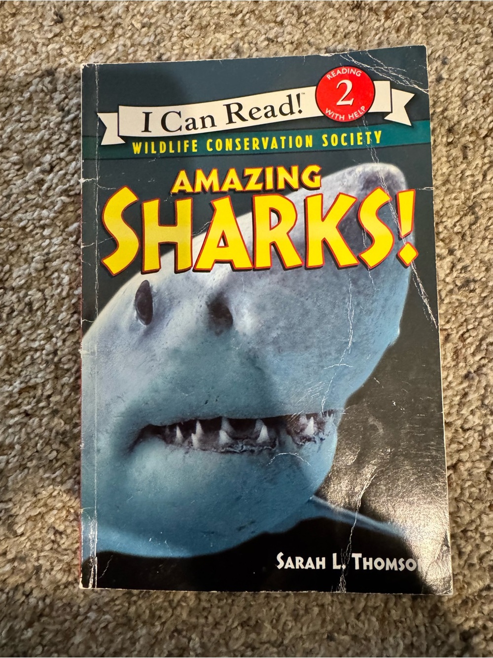 Amazing Sharks! I can read level 2 Kids Book